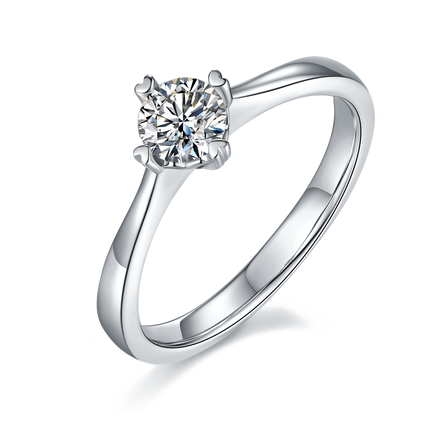 Love is Eternal S925 Silver Moissanite Women's Ring